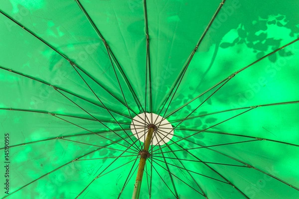 Obraz green umbrella background