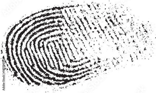 Fototapeta Vector black fingerprint on white Transparent background.  fingerprint background
