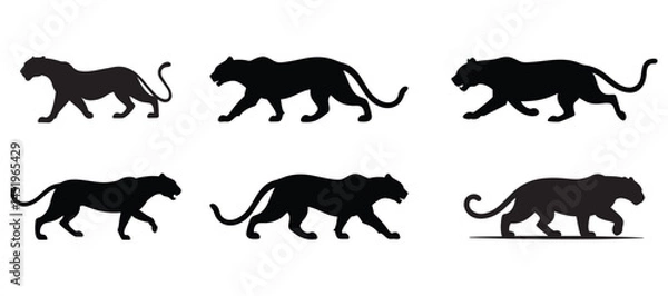 Obraz Panthers Set Silhouette Vector Art Illustration on Transparent Background.