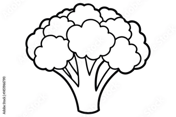 Fototapeta Broccoli Vegetable Vector Illustration on White Background

