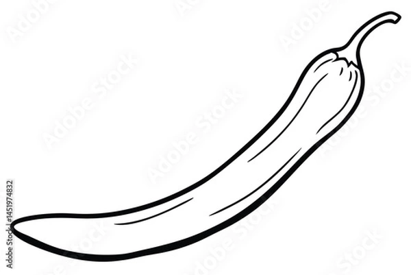 Fototapeta Serrano Vegetable Vector Illustration Isolated on White Background

