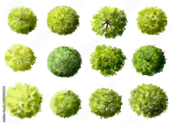 Fototapeta Vertor set of green tree,plants top view for landscape plan,schematic layout,eco environment concept design,watercolor greenery illustration