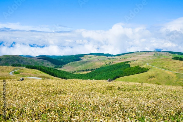 Obraz 車山高原　６月