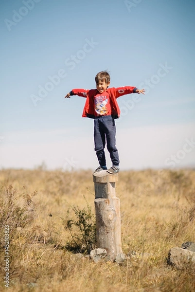 Obraz The boy climbed onto a tall tree stump and opened his arms