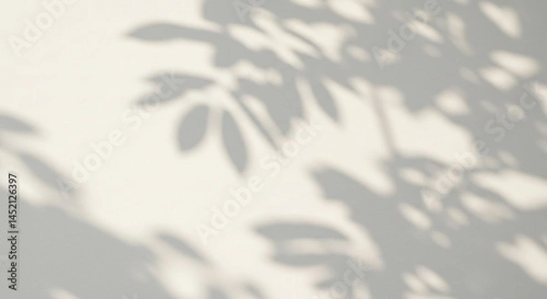 Obraz shadow background