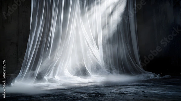 Obraz Dramatic light and sheer fabric create unique perspectives in dark spaces