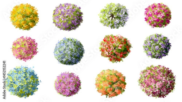 Fototapeta Vertor set of spring blossom tree,blooming plants top view for landscape plan,schematic layout,eco environment concept design,watercolor sakura illustration