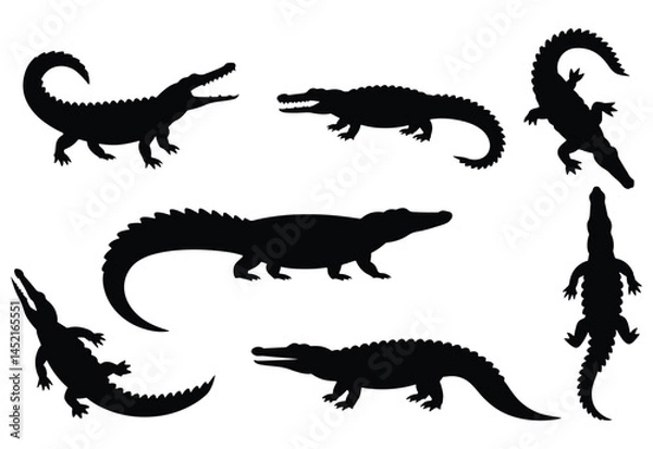 Fototapeta Alligator and crocodile silhouette. Crocodile silhouette on a white background.