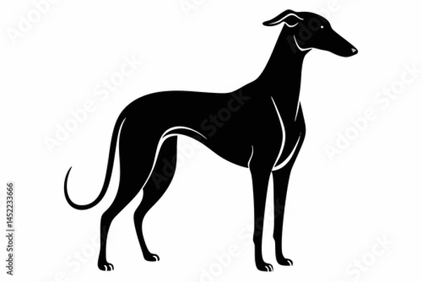 Obraz greyhound sihouette black vector