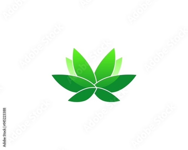 Obraz Abstract butter leaf