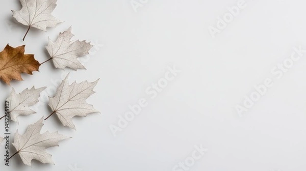 Fototapeta Autumn Leaves on a Light Background for Creative Design Projects