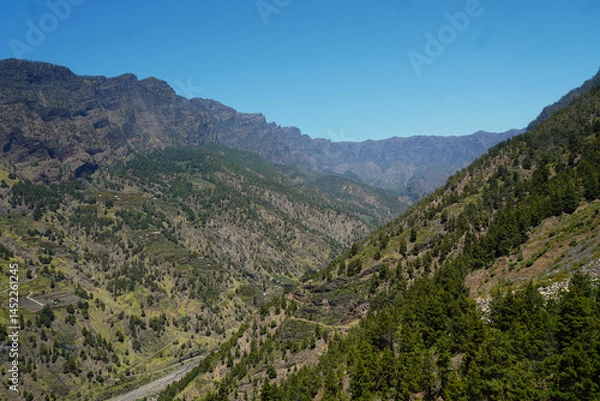 Fototapeta View from La Cancelita viewpoint, showing the rugged landscape, Canary Island pines, and agricultural terraces of La Caldera de Taburiente, on the island of La Palma.