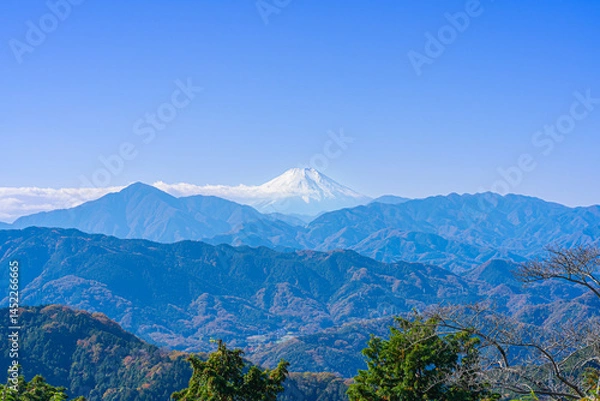 Fototapeta Mount Fuji Seen from the Summit of Mt. Takao, Tokyo (November 2024)