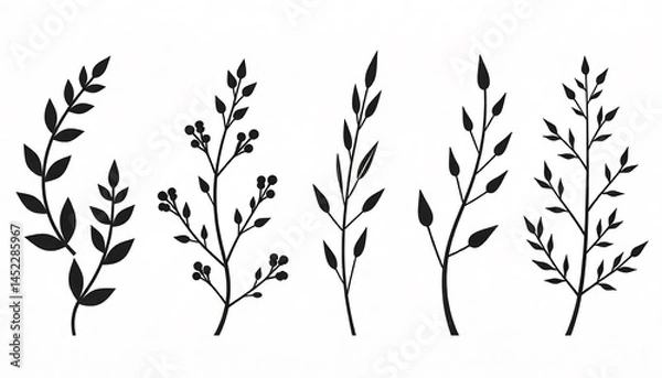 Fototapeta Set Of Black Botanical Illustrations With Leaves And Branches On White Background