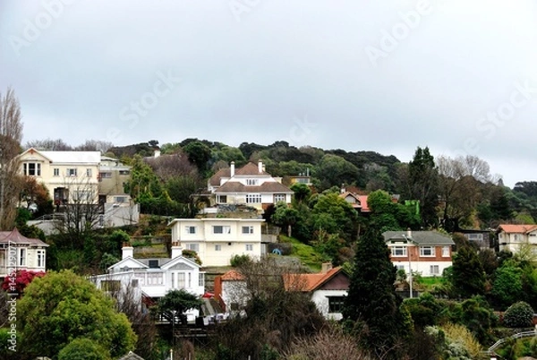 Obraz ダニーデン