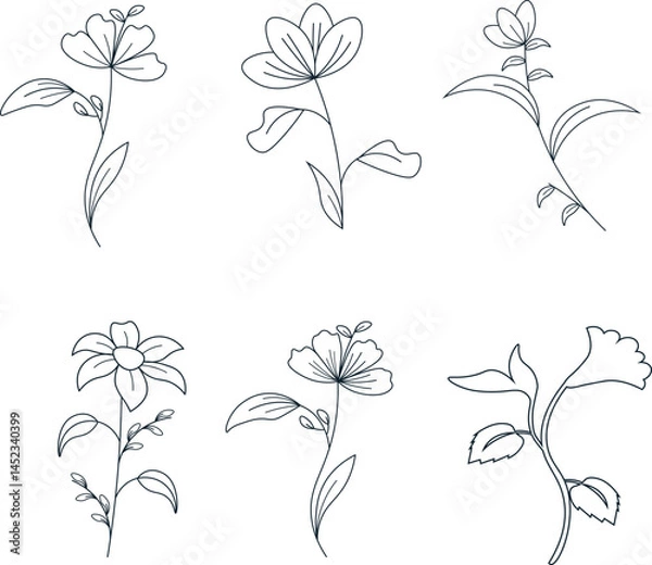 Obraz stylized flowers on stems with leaves in black lines on white background. SET