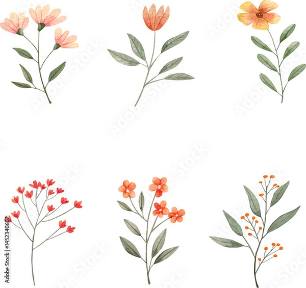 Obraz Collection of spring colorful flower elements . Set floral of wildflower, leaf branch, foliage on white background. Hand drawn blossom illustration for decor, easter, sticker, clipart, print.