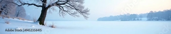 Fototapeta tree in a frozen lake with snow-covered branches, calm, tree