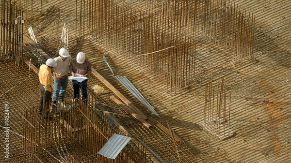 Obraz Collective Decision Making