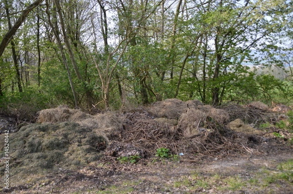 Obraz Grünabfall im Wald entsorgt