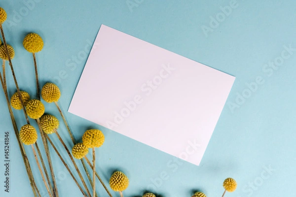 Obraz Postcard mock up template for design with yellow flowers on .turquoise background.
