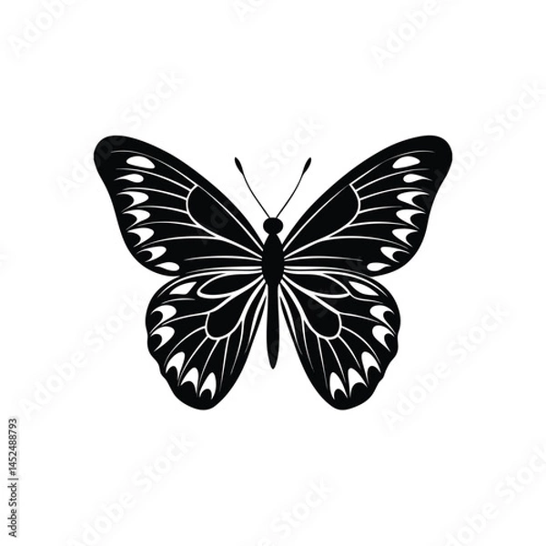 Fototapeta butterfly isolated on white background.black and white monarch butterfly isolated on a white background