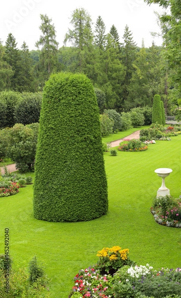 Fototapeta An originally trimmed thuja is the main accent in the park composition