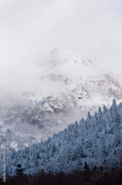 Obraz Snowy mountain range under white sky