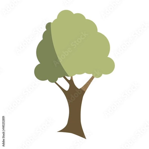 Obraz natural tree plant icon vector illustration design