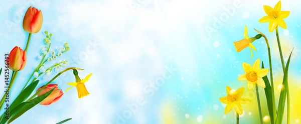 Fototapeta Easter. Natural floral composition. daffodil. Spring flowers lilies of the valley and tulips.