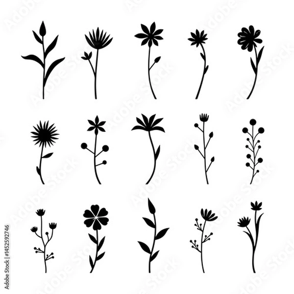 Fototapeta Set of black silhouettes of flowers, Set of floral design elements