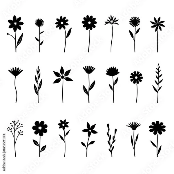 Fototapeta set of black silhouettes of flowers, Set of floral design elements