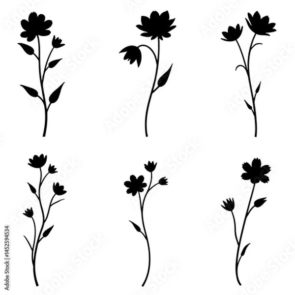Fototapeta Set of floral design elements
