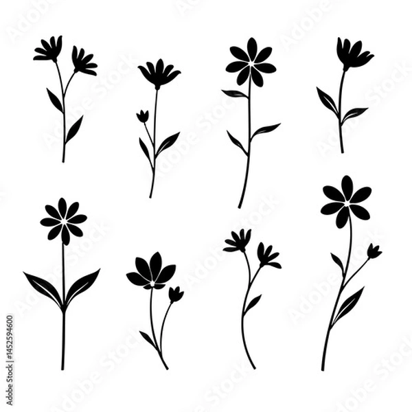 Fototapeta set of black silhouettes of flowers, Set of floral design elements