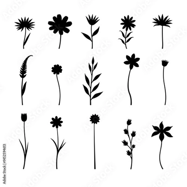 Fototapeta set of black silhouettes of flowers, Set of floral design elements