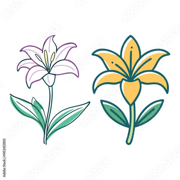 Fototapeta vector illustration of a lily flower