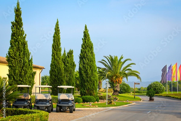Obraz Luxury golf resort entrance with golf carts and palm trees Peaceful morning view at a luxury golf resort featuring golf carts, tall cypress trees