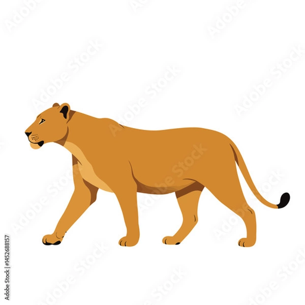 Fototapeta Flat vector illustration of a walking lioness