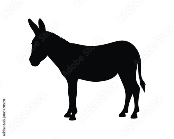 Fototapeta Vector silhouette of a donkey standing isolated on a white background