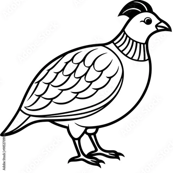 Obraz Elegant Quail in Minimal Vector Art