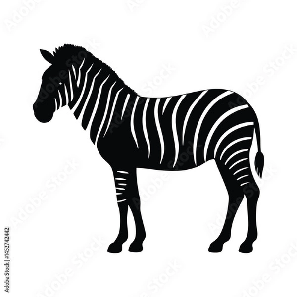 Fototapeta Vector silhouette of a zebra in profile view with stripes