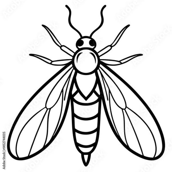 Obraz Elegant Firefly Line Art Design