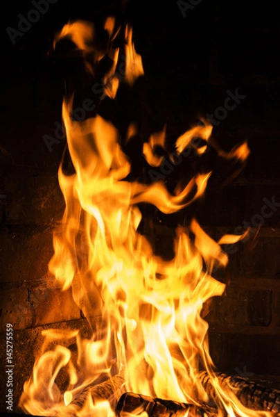 Obraz Near a flaming fire, covering all the wood