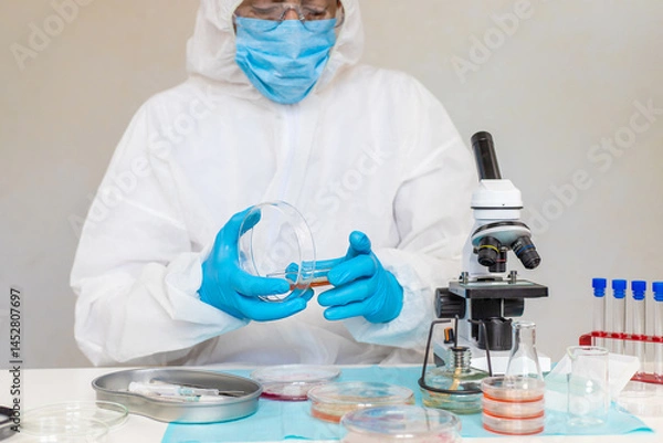 Obraz Examine bacteria in petri dishes in the laboratory. Selective focus.