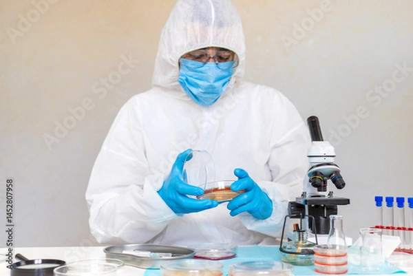 Fototapeta Examine bacteria in petri dishes in the laboratory. Selective focus.