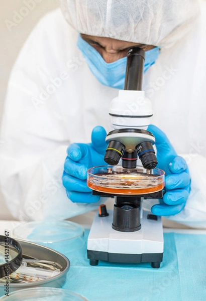Obraz Examine bacteria in petri dishes in the laboratory. Selective focus.