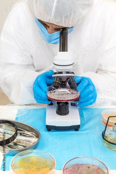 Obraz Examine bacteria in petri dishes in the laboratory. Selective focus.