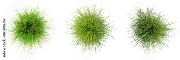 Fototapeta Set of High-resolution stock photo of a small, green, fuzzy ball of grass placed in the center on transparent png background. Ai generated