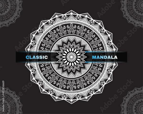 Obraz Classic Mandala Background Design Vector . Elegant Mandala Design.