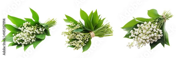Fototapeta Set of Top view of a fresh bouquet of lilies of the valley lying on a rustic white wooden table on transparent png background. Ai generated